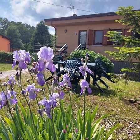 Chalet Grazia Valgiano Экстерьер фото
