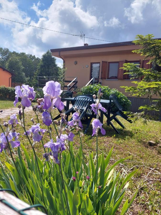 Chalet Grazia Valgiano Экстерьер фото